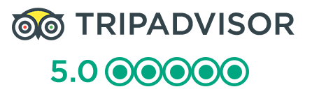 Трипадвизор туры. Трипадвизор 2021 логотип. TRIPADVISOR logo svg. 1000+ Reviews.