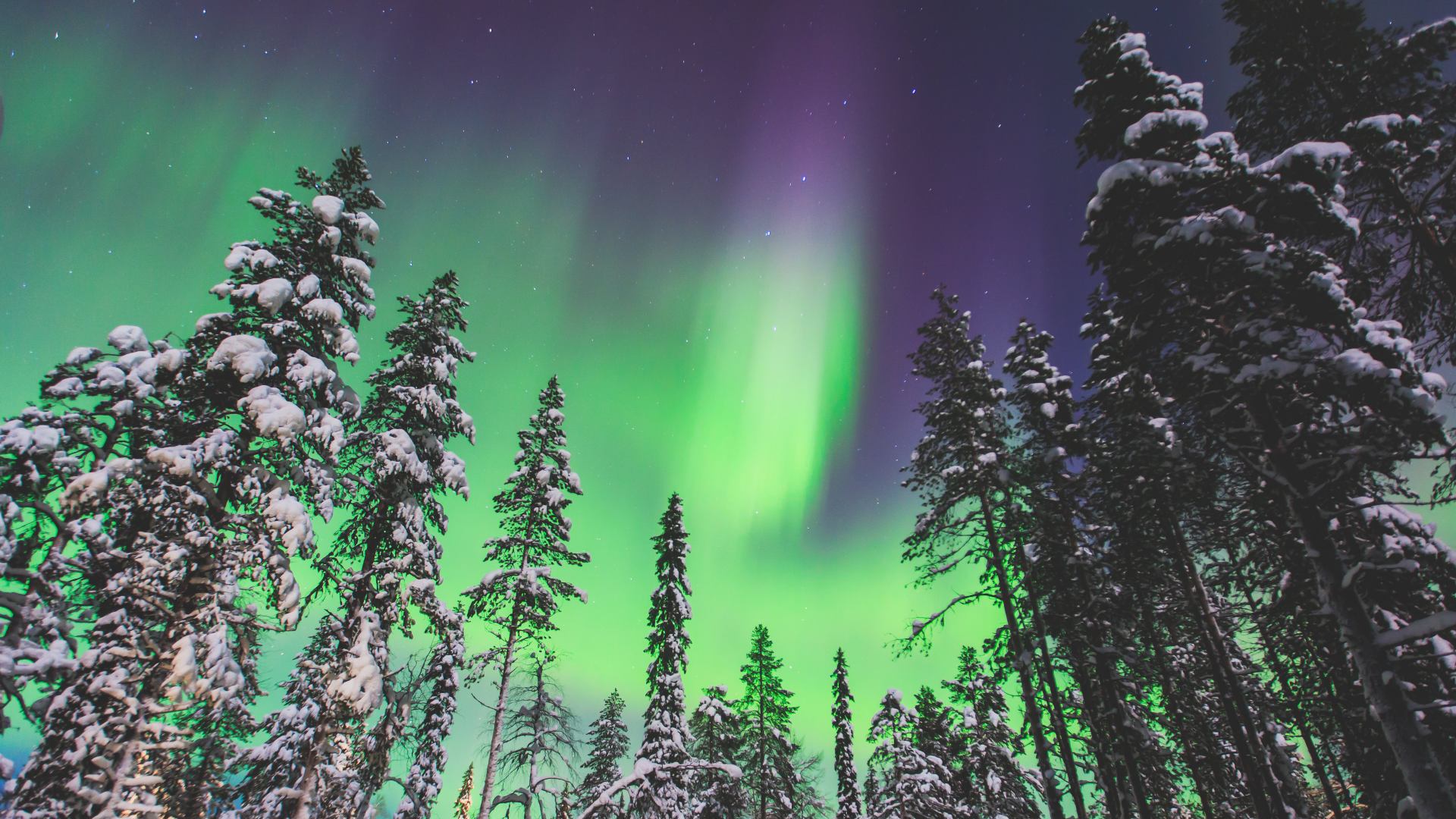 northern lights in finish lapland