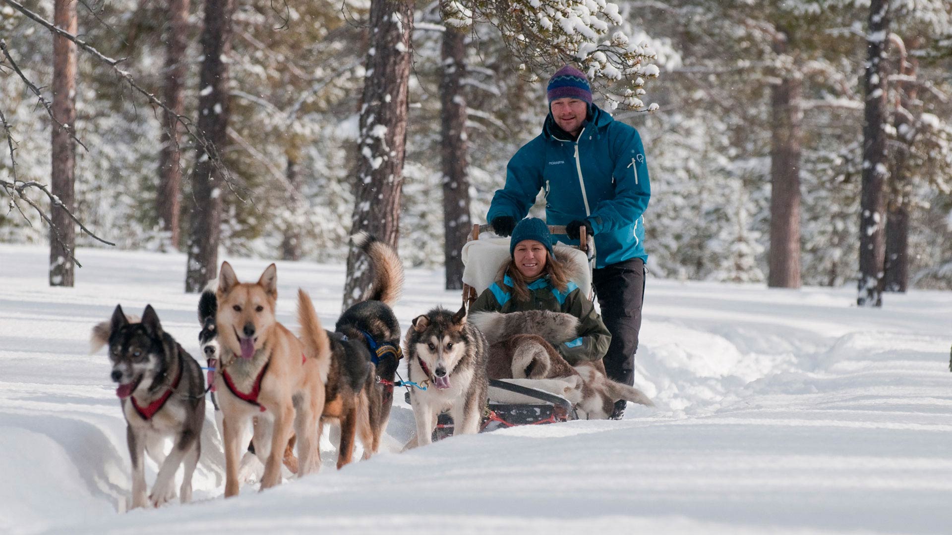 Christmas in Norway 7 Days / 6 Nights Norway Fjord Cruise & Rail