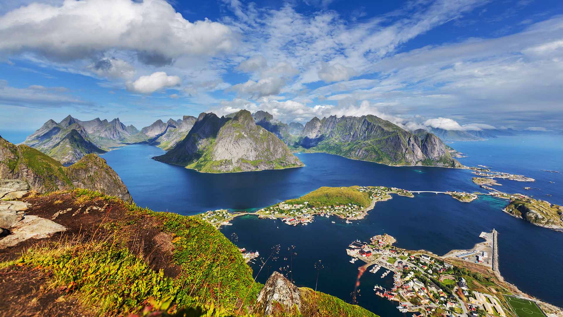 fjord tours lofoten