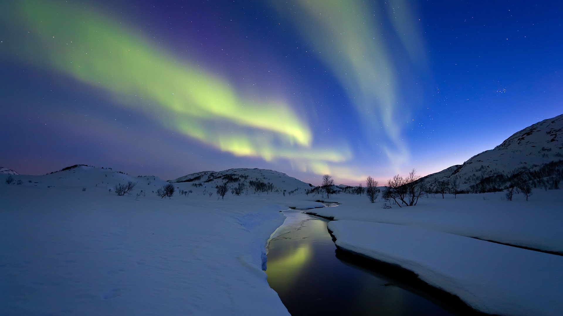 14 Day Cruise & Train : Ultimate Norway Aurora Trip : Nordic Visitor