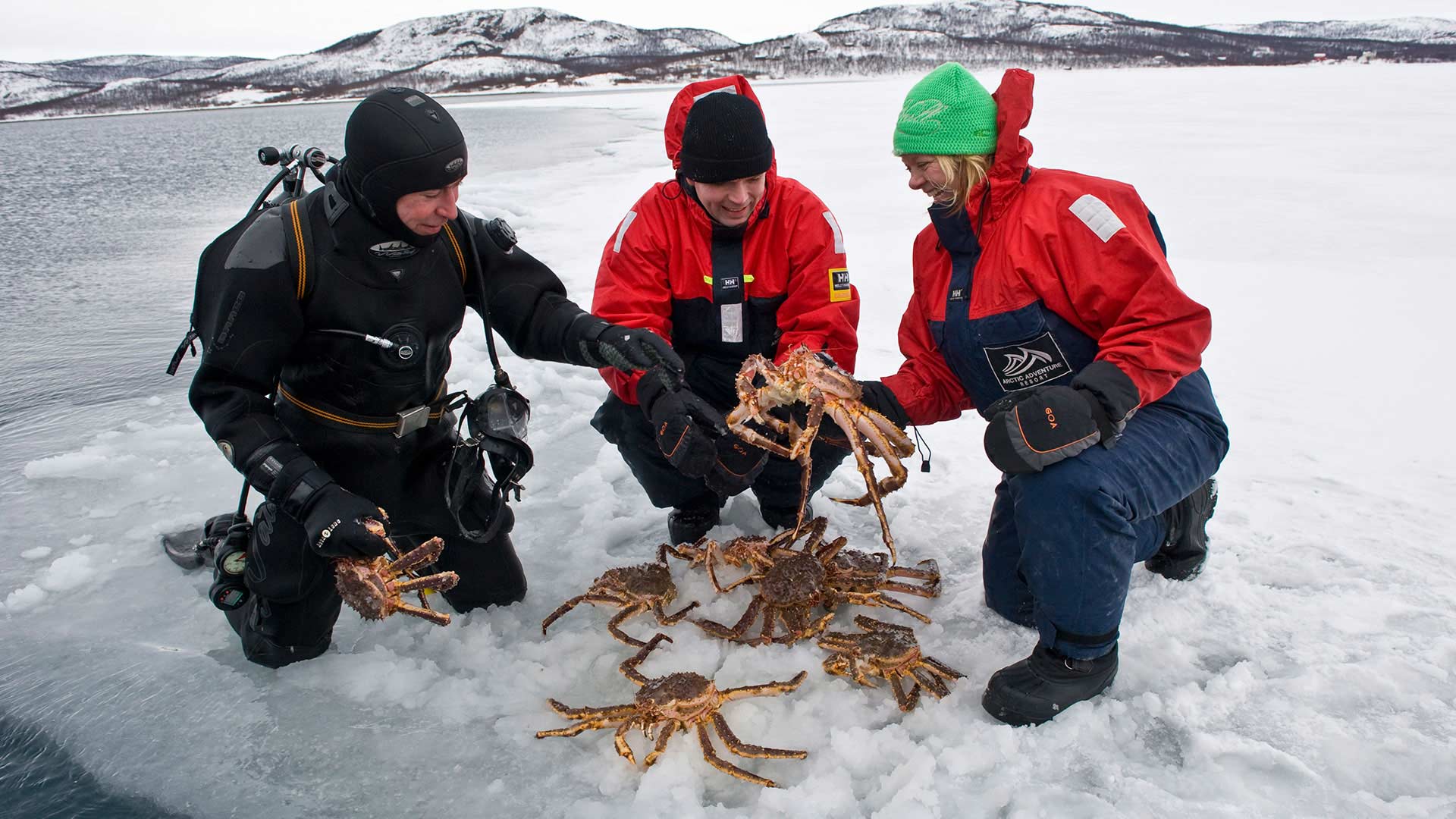 Tourists with King Crabs - ©visitnorway.com / TerjeRakke - Nordic Life