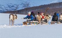 Reindeer Sledding ©Lyngsfjord