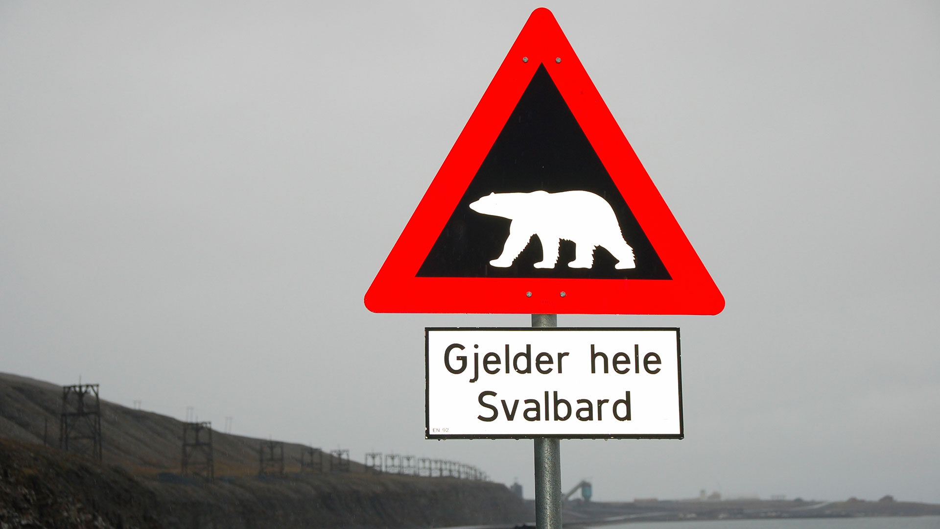 Beware! Polar bears - Svalbard