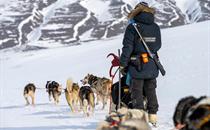 Dog Sledding Activity with Basecamp Explorer in Svalbard