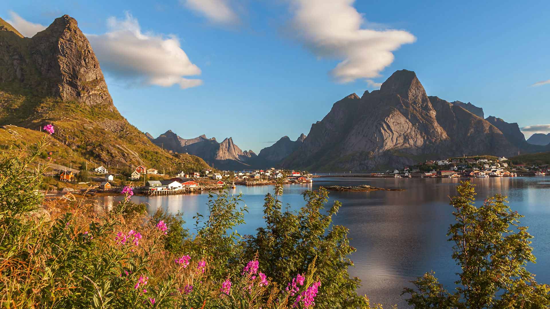 7 Day Cruise : Lofoten & North Cape in Norway : Nordic Visitor